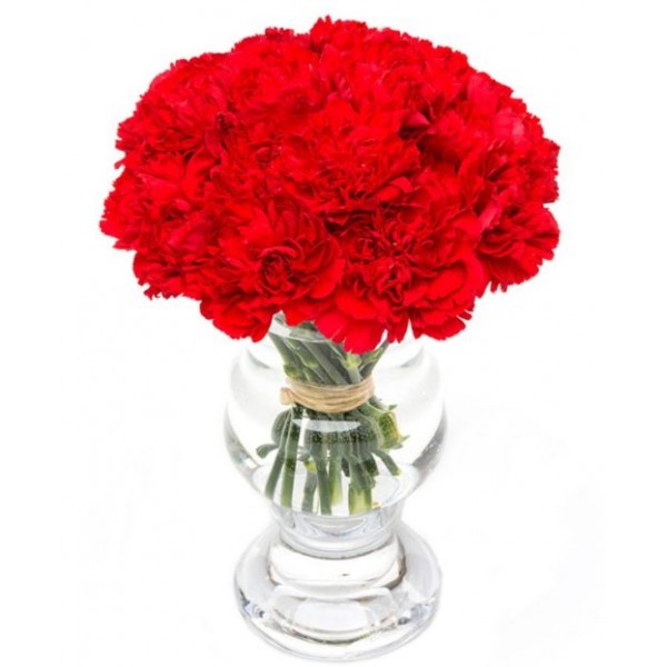 Red Carnations for Home or Office